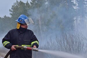 Лісова пожежа в Овруцькому районі Житомирської області триває із середини квітня