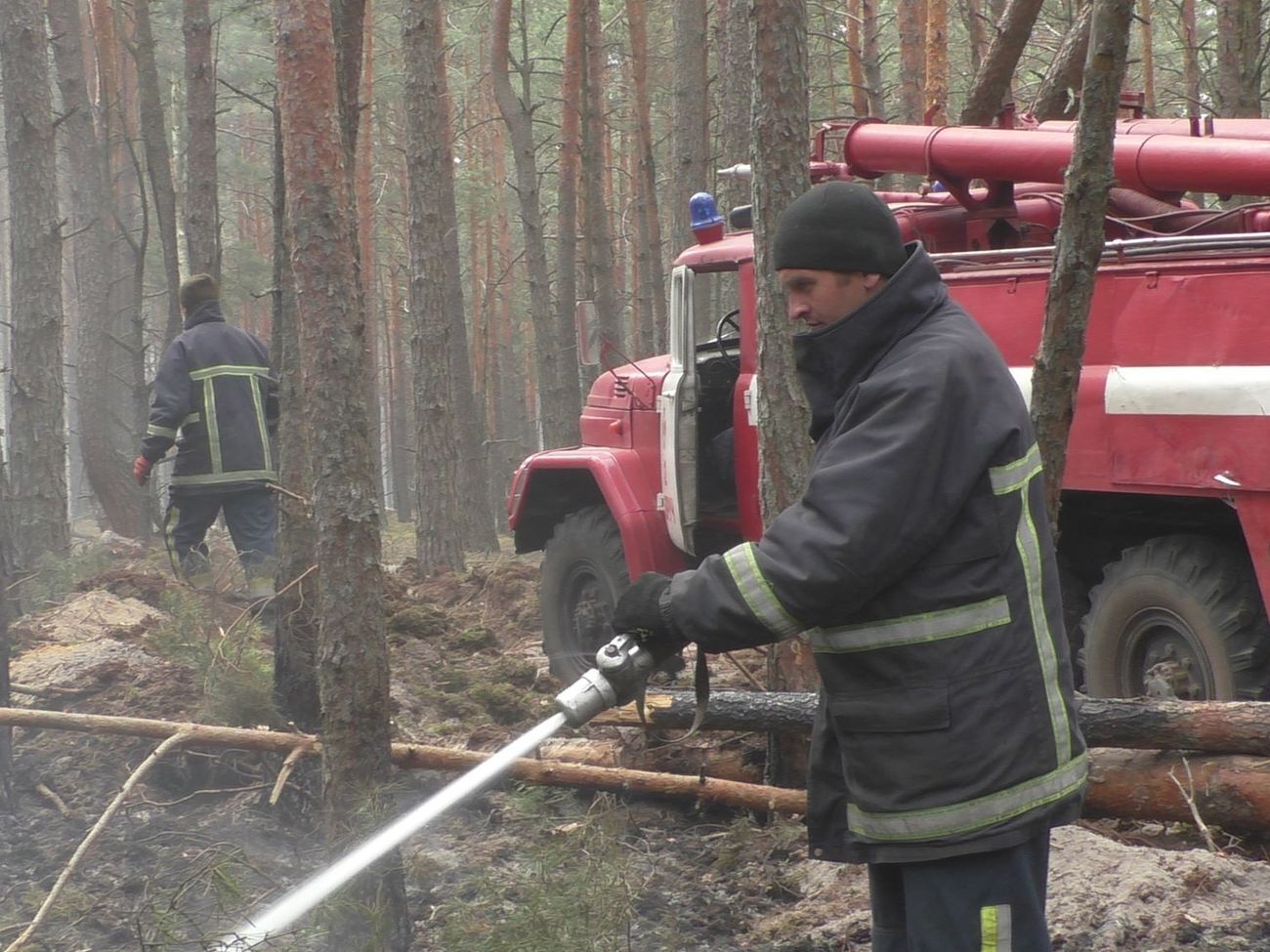 Лісові пожежі у двох областях тривають