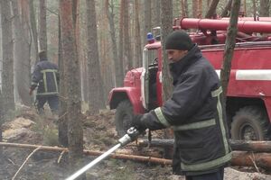Лісові пожежі у двох областях тривають