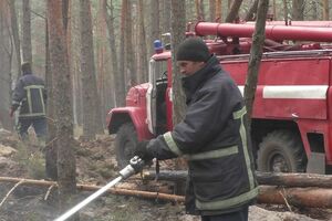 Лесной пожар в Овручском районе Житомирской области начался в середине апреля