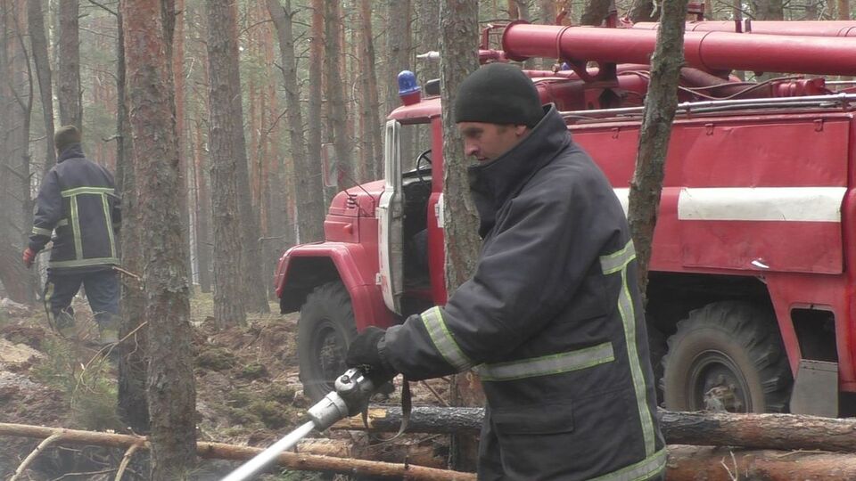 Лісова пожежа в Овруцькому районі Житомирської області виникла в середині квітня