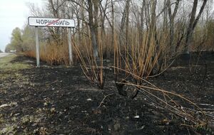 Пожежі в Чорнобильській зоні тривають кілька тижнів