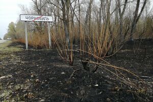 Пожары в Чернобыльской зоне продолжаются несколько недель