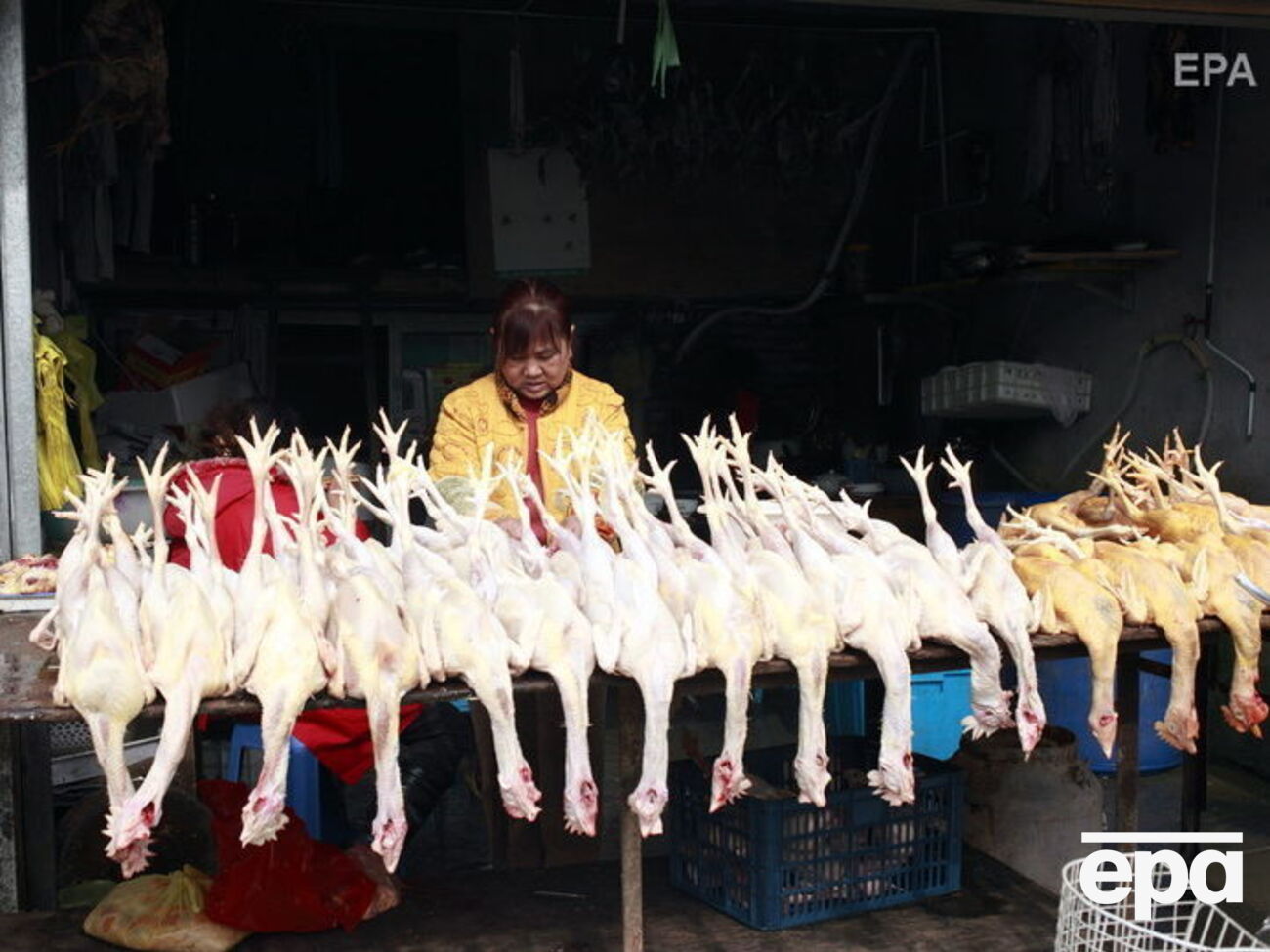 Один із "мокрих ринків" у Шанхаї