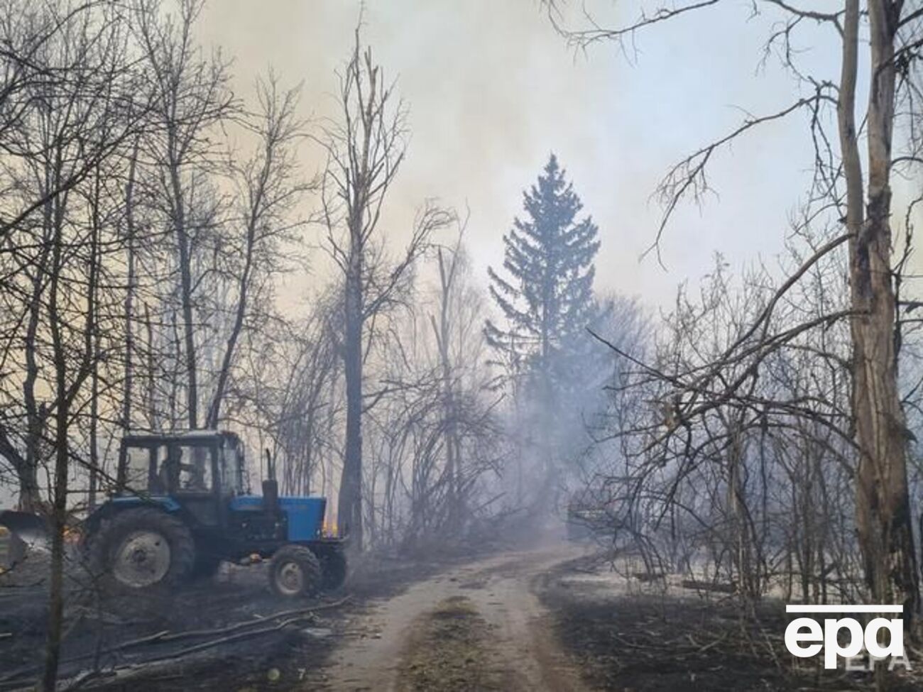Лесные пожары в Житомирской и Киевской областях продолжаются с начала апреля