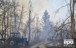 Лесные пожары в Житомирской и Киевской областях продолжаются с начала апреля