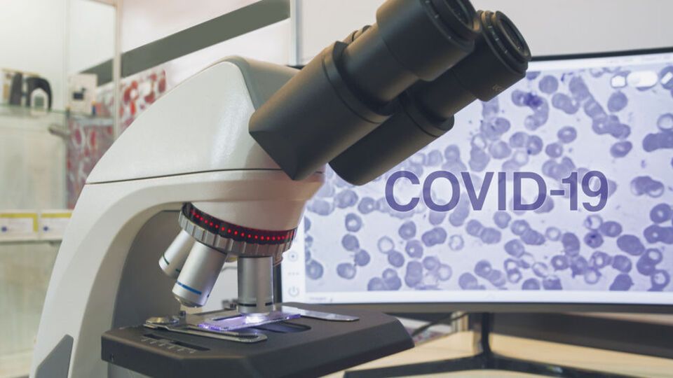 В области крупнейшие вспышки зафиксированы в Подольске и Одессе