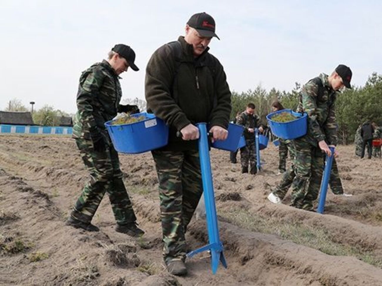 Лукашенко під час суботника саджав&nbsp;дерева в агромістечку Лясковичі