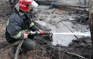Лісові пожежі в Україні виникли на початку травня