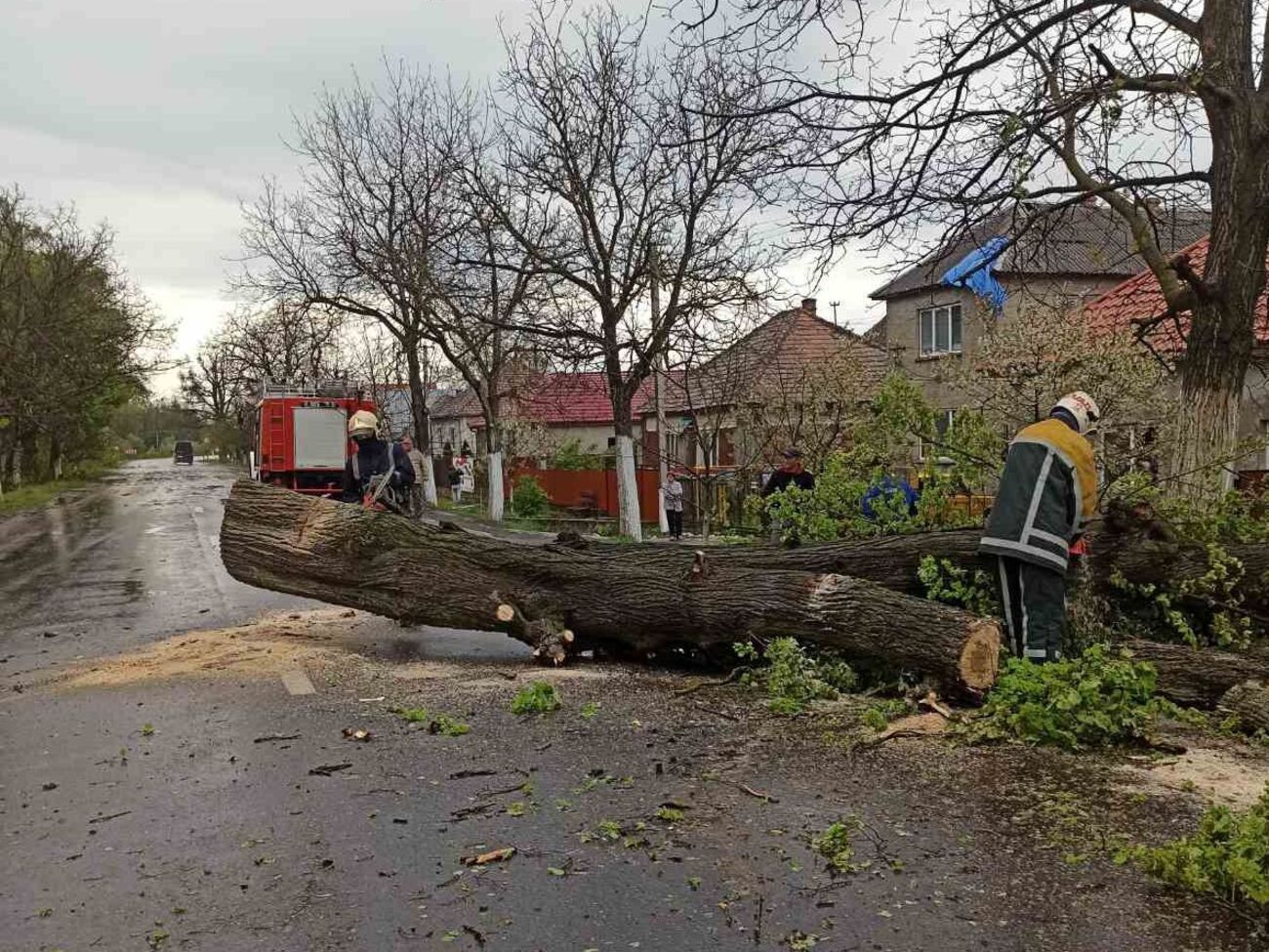 Закарпаттям пронісся потужний буревій. Фоторепортаж