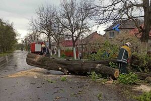 Закарпаттям пронісся потужний буревій. Фоторепортаж