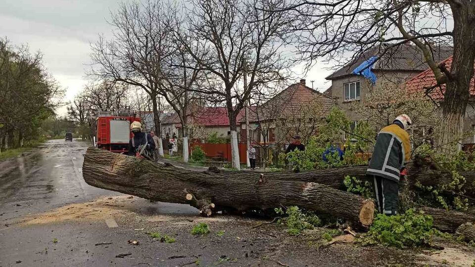 По Закарпатью пронесся мощный ураган. Фоторепортаж