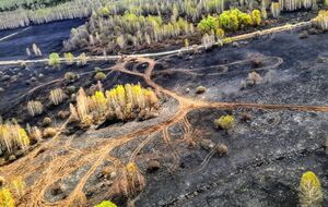 Аваков заявив, що в Чорнобильській зоні продовжують тліти торфовища