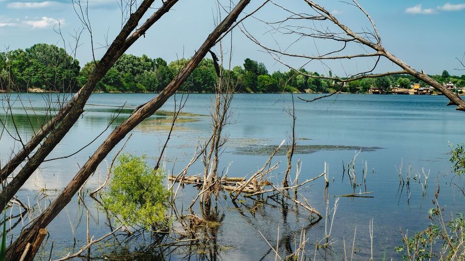 Река Ирпень в Киевской области зарастает и мелеет