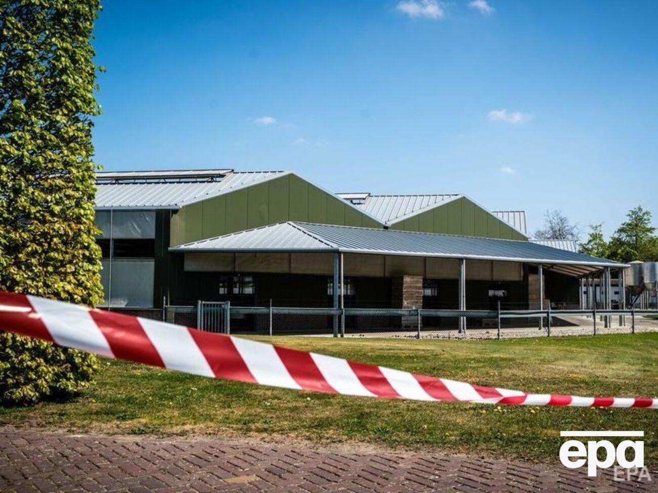 Территория оцеплена, вывозить животных с ферм запретили