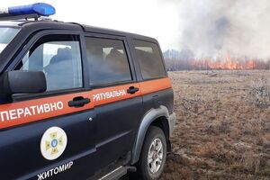 Загоряння трав'яного настилу переросло у верхову пожежу