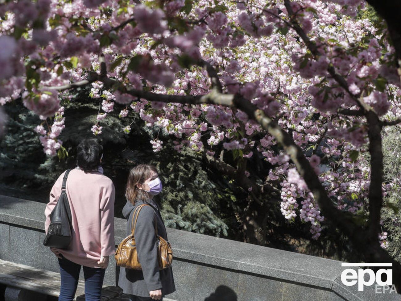 Три четверти респондентов заявили, что намерены быть дома на майские праздники