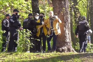 Кутепова силой вытолкали с газона