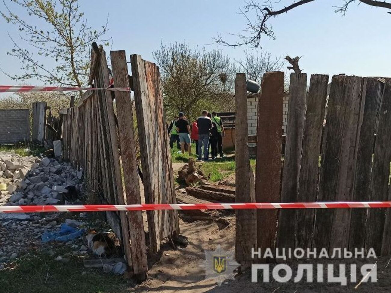 Обезглавленное тело ребенка нашли в поселке Подворки