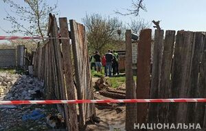 Обезглавленное тело ребенка нашли в поселке Подворки