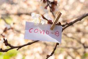 Вспышка коронавирусной инфекции унесла жизни 28 жителей Украины