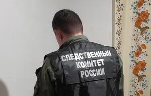 В Следкоме сообщили, что будут ходатайствовать об аресте подозреваемого