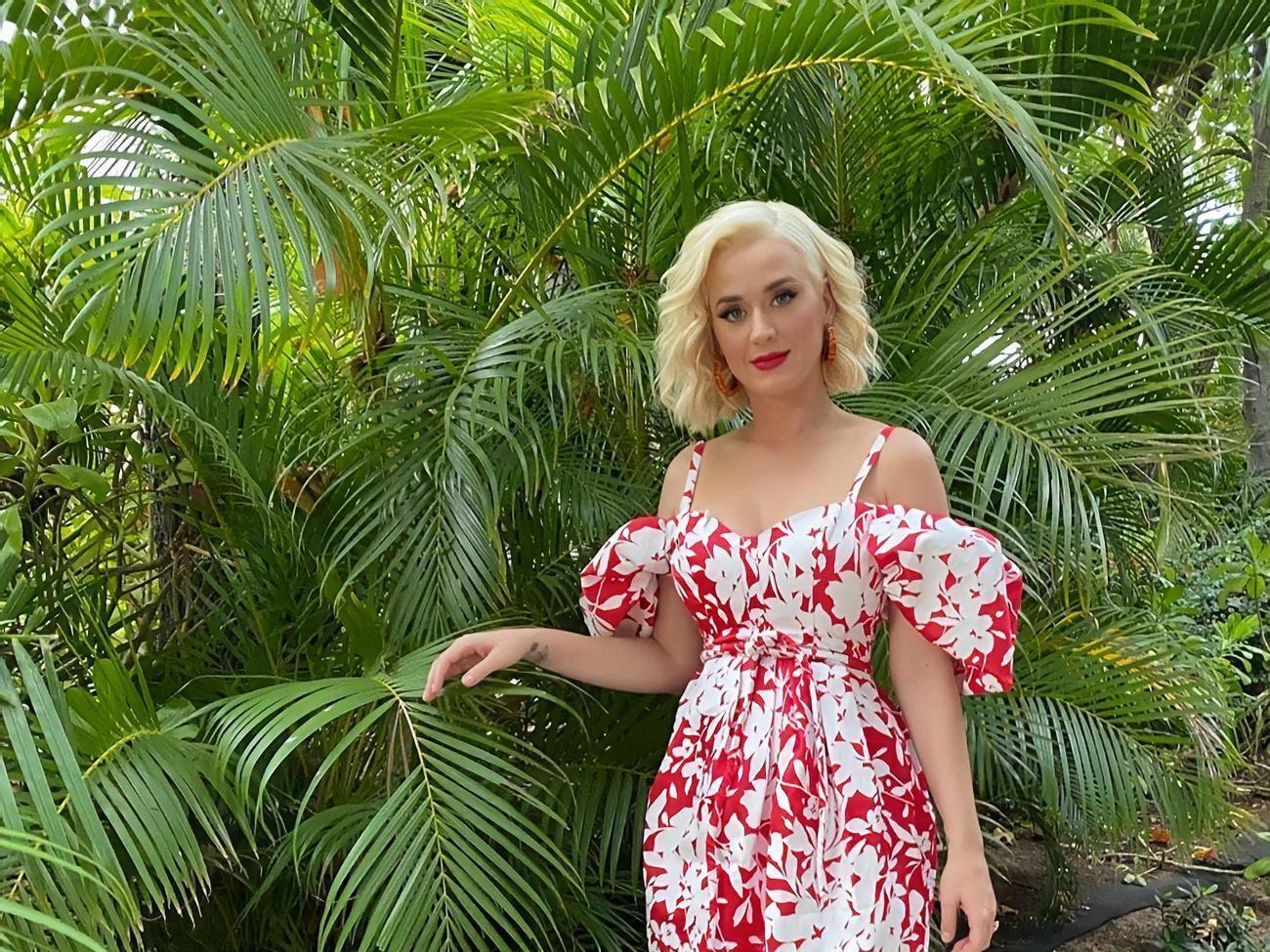 Вагітна Перрі розсекретила стать дитини