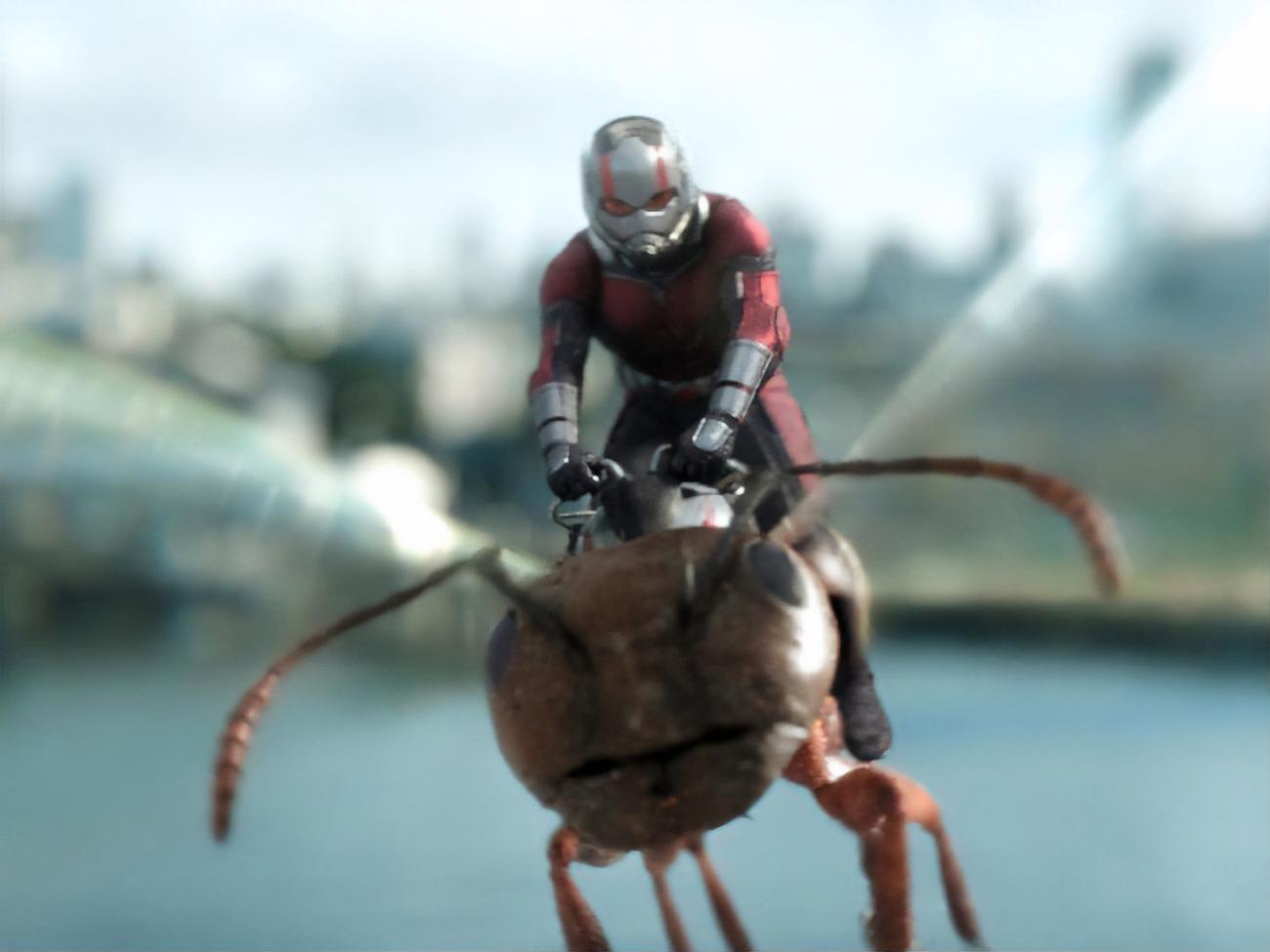 Подробности сценария предстоящей третьей части франшизы "Человек-муравей" пока не разглашаются