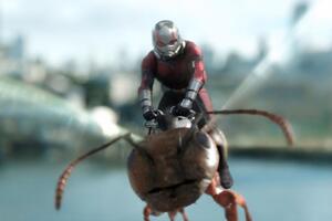 Подробности сценария предстоящей третьей части франшизы "Человек-муравей" пока не разглашаются