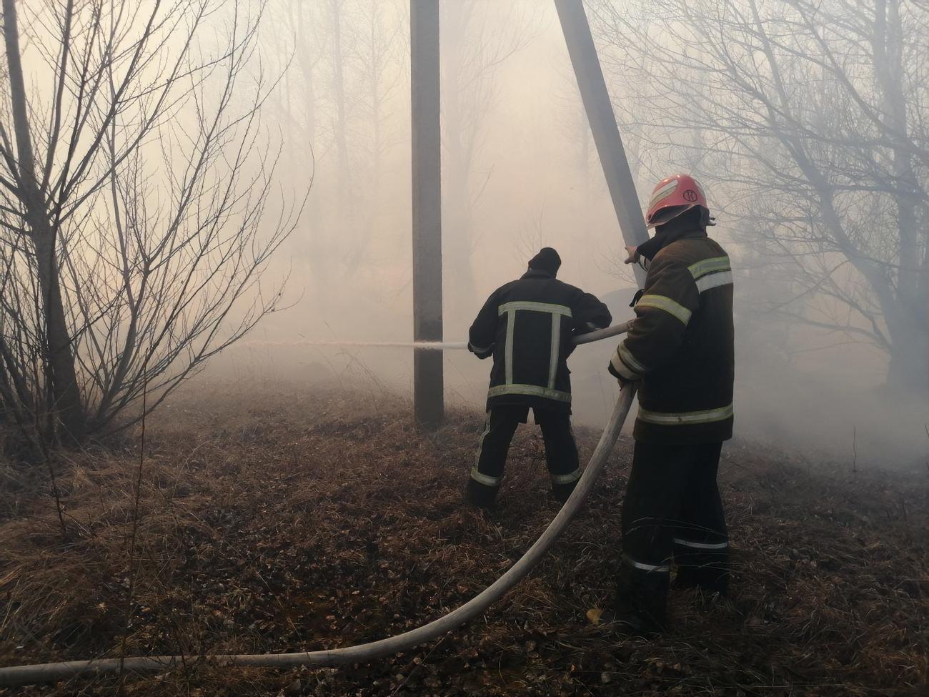 Пожежа в Чорнобильській зоні відчуження виникла 4 квітня в районі села Володимирівка