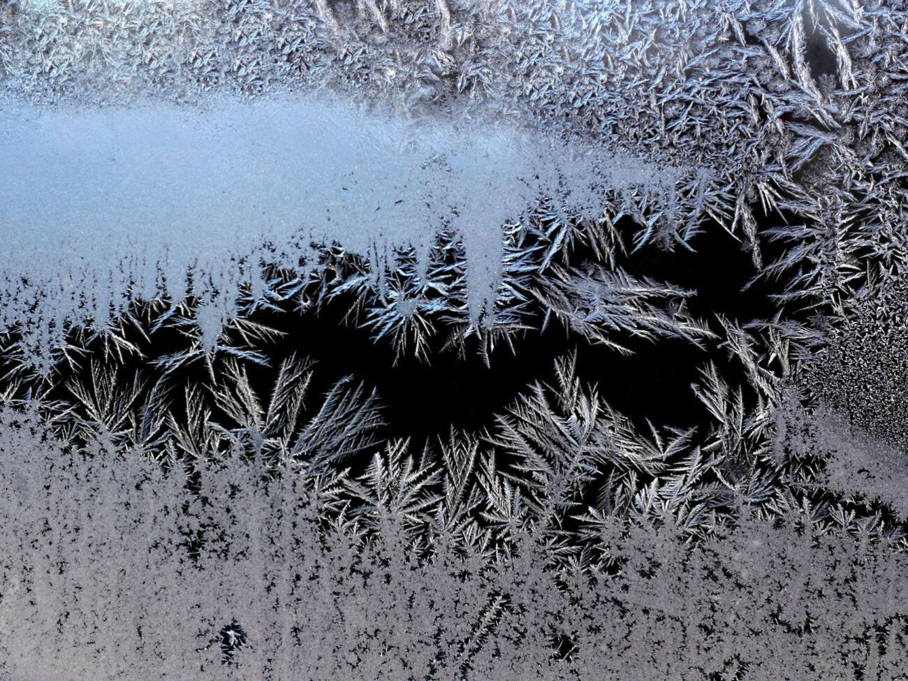 В Україні прогнозують заморозки