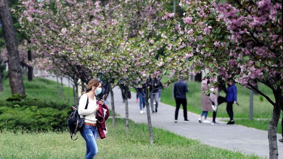В Ровенской области зафиксировано 978 случаев COVID-19, умер 21 человек