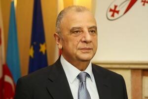 Посол Шарашенидзе: Недопустимо, чтобы в стране, которая является стратегическим партнером, на политическую должность было назначено лицо, осужденное в Грузии