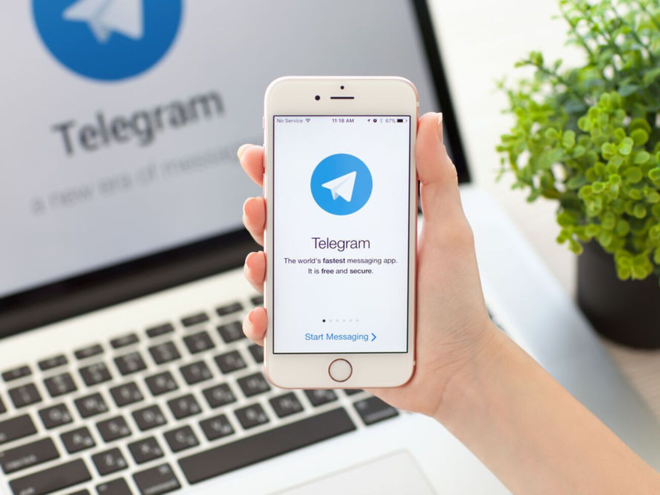 11 мая стало известно&nbsp;о создании&nbsp;Telegram-бота&nbsp;UA Baza, который предоставлял личные данные украинцев