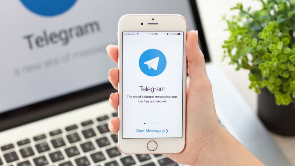 11 мая стало известно о создании Telegram-бота UA Baza, который предоставлял личные данные украинцев