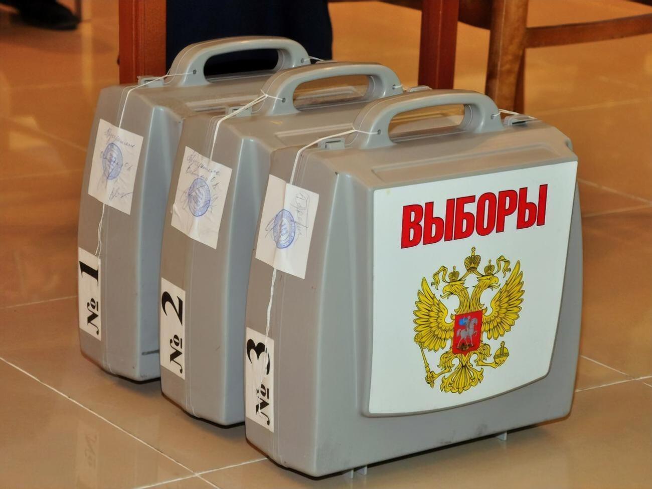 Дистанционное голосование планируется задействовать и&nbsp;на общероссийском голосовании по поправкам в конституцию