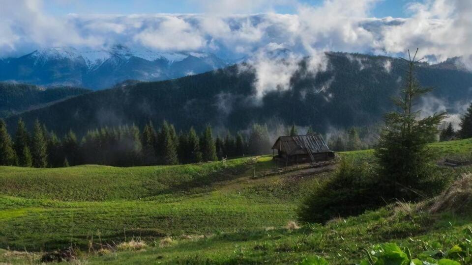З 11 травня в Україні розпочався перший етап послаблення карантину