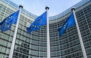 Европарламент поддержал предоставление помощи соседним странам для борьбы с коронавирусом