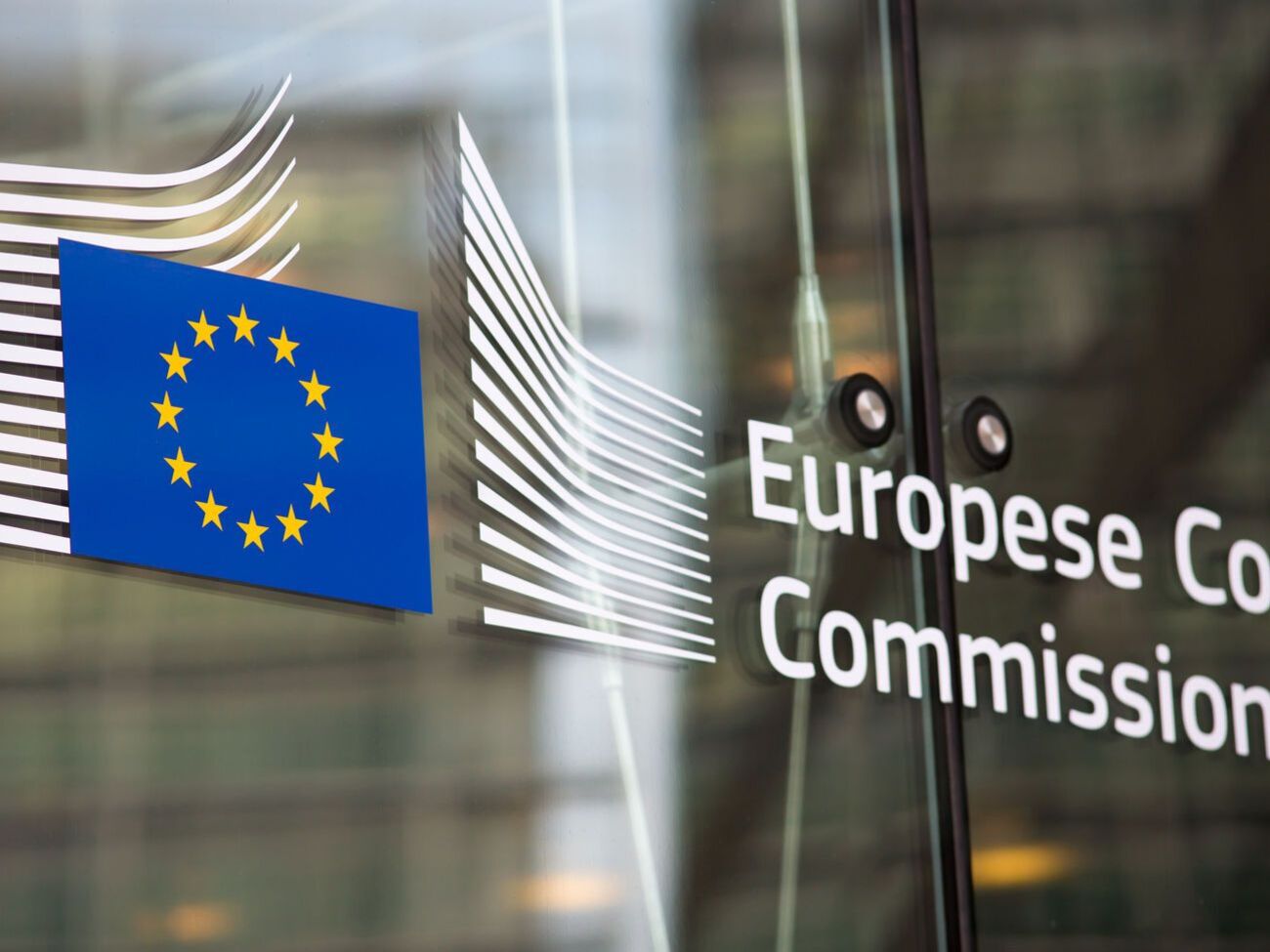 Спикер ЕК не привел примеров российской пропаганды о коронавирусе