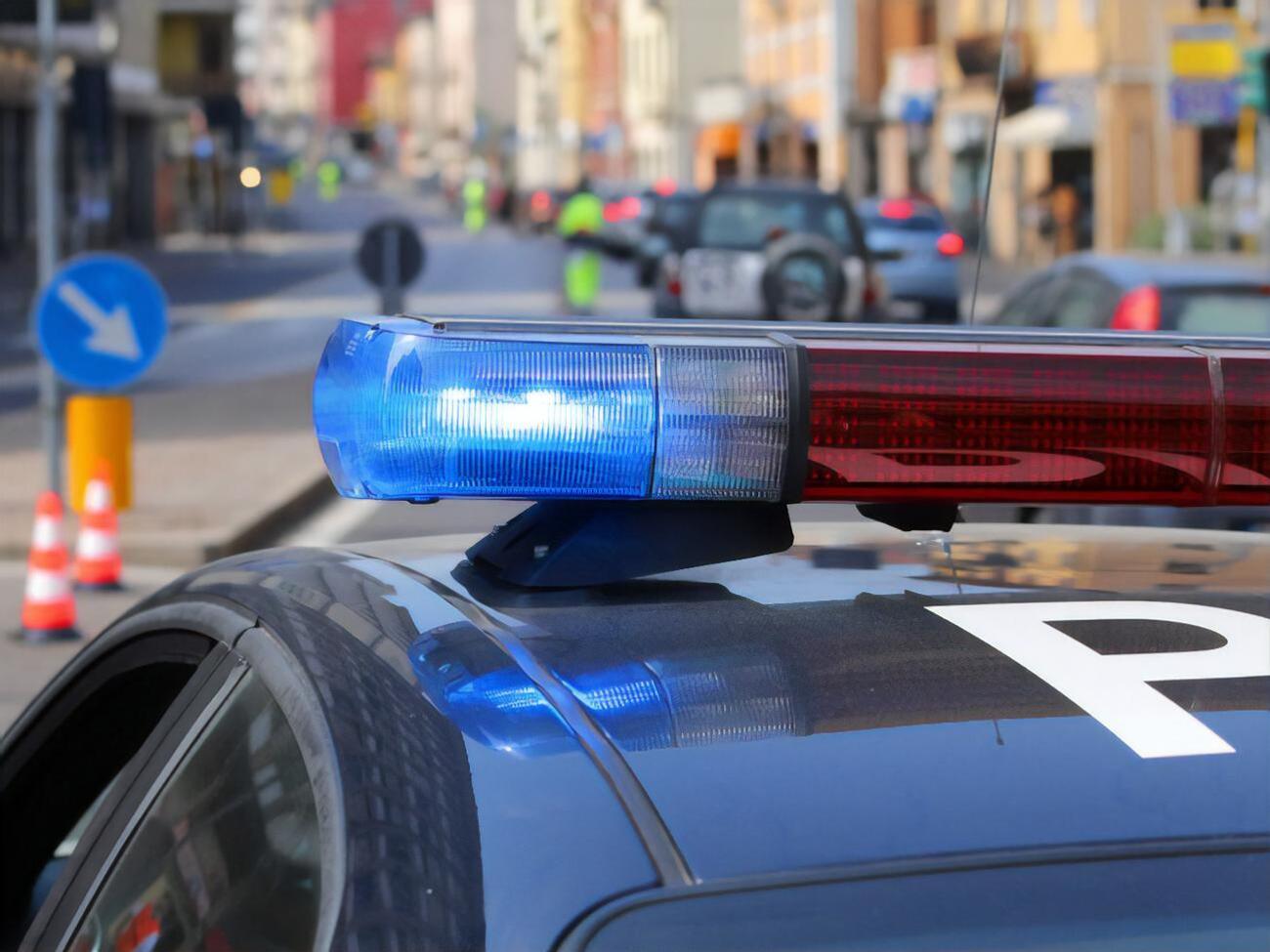 У правоохоронних органах розповіли, що з інтерв'ю Поклонської та Гіркіна планують використати проти них