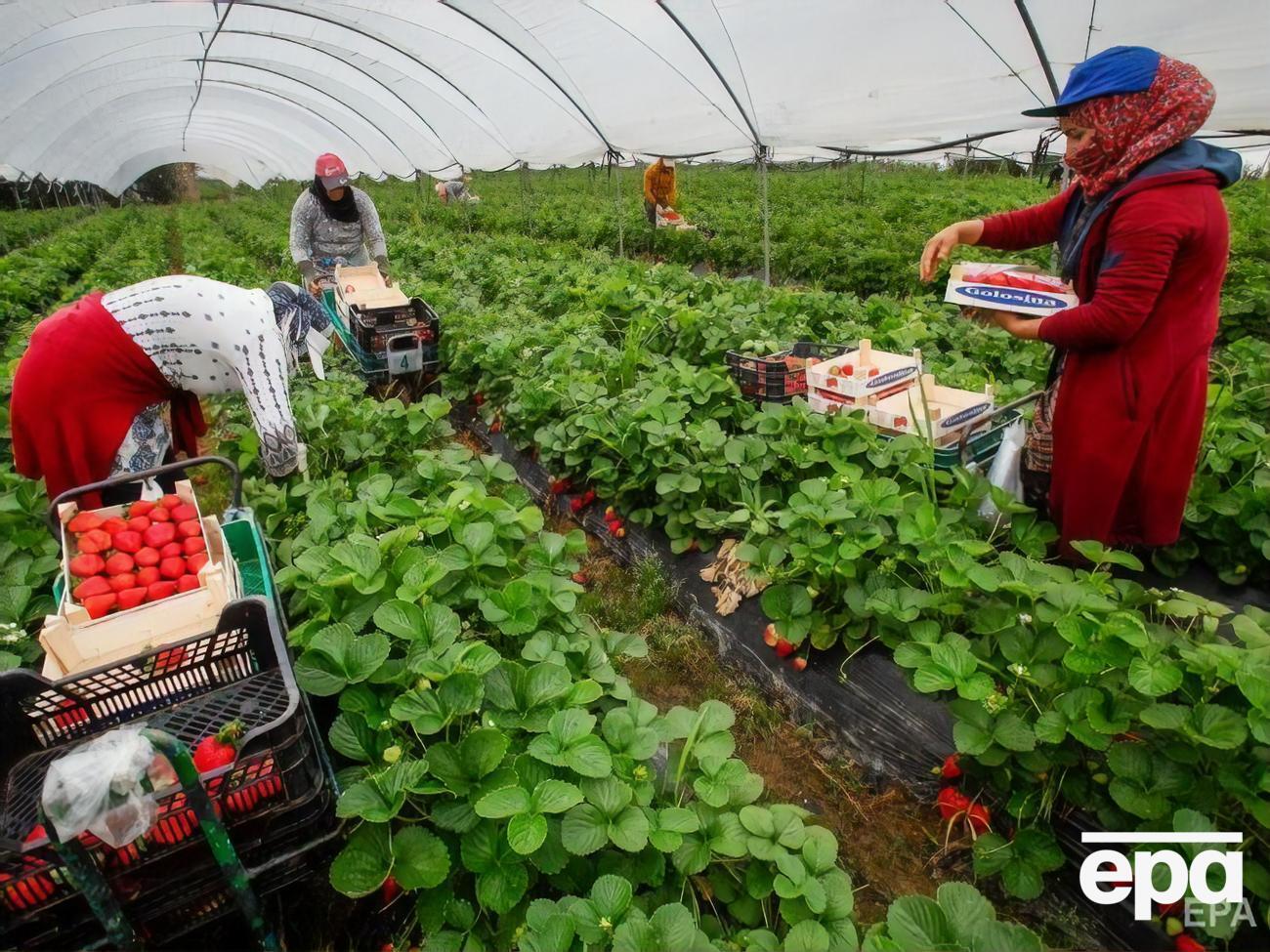 В апреле СМИ сообщали об острой нехватке рабочей силы в Польше
