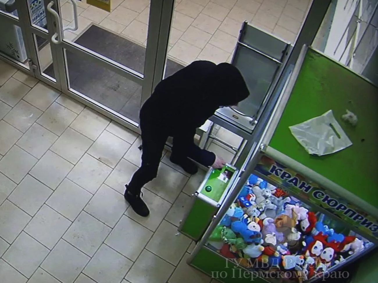 Вартість вкрадених іграшок становила понад 8 тис. руб. (3 тис. грн)