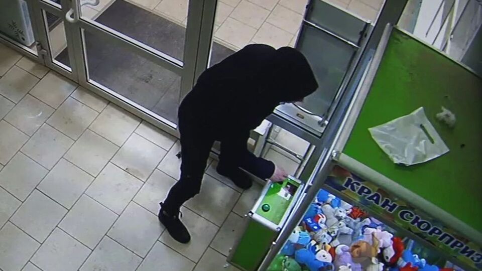 Вартість вкрадених іграшок становила понад 8 тис. руб. (3 тис. грн)