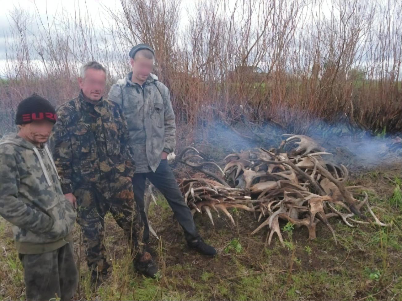 Поліція вилучила роги диких лосів