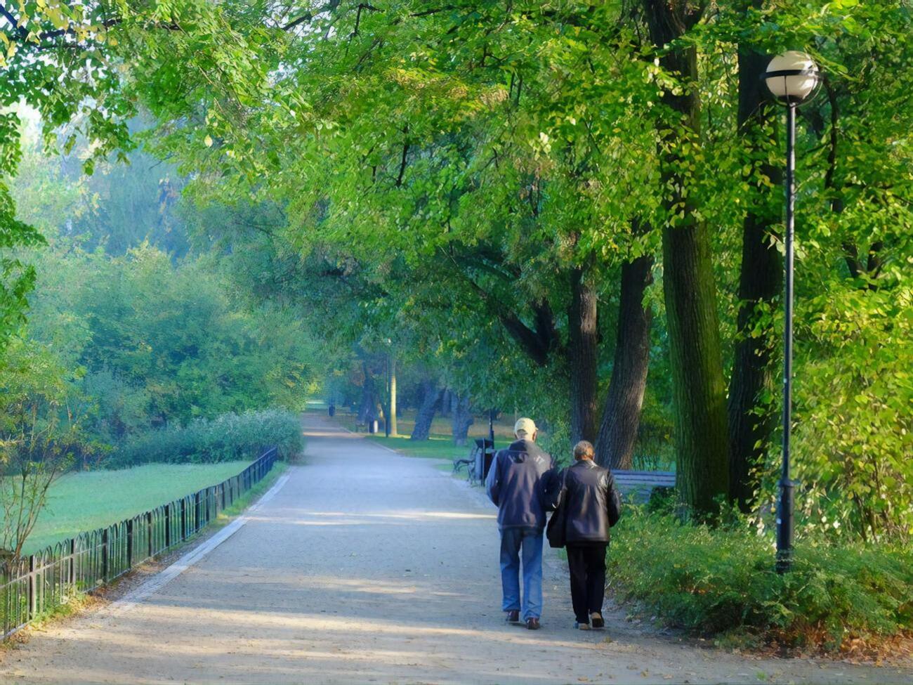 Від початку року середня пенсія в Україні зросла на 87 грн