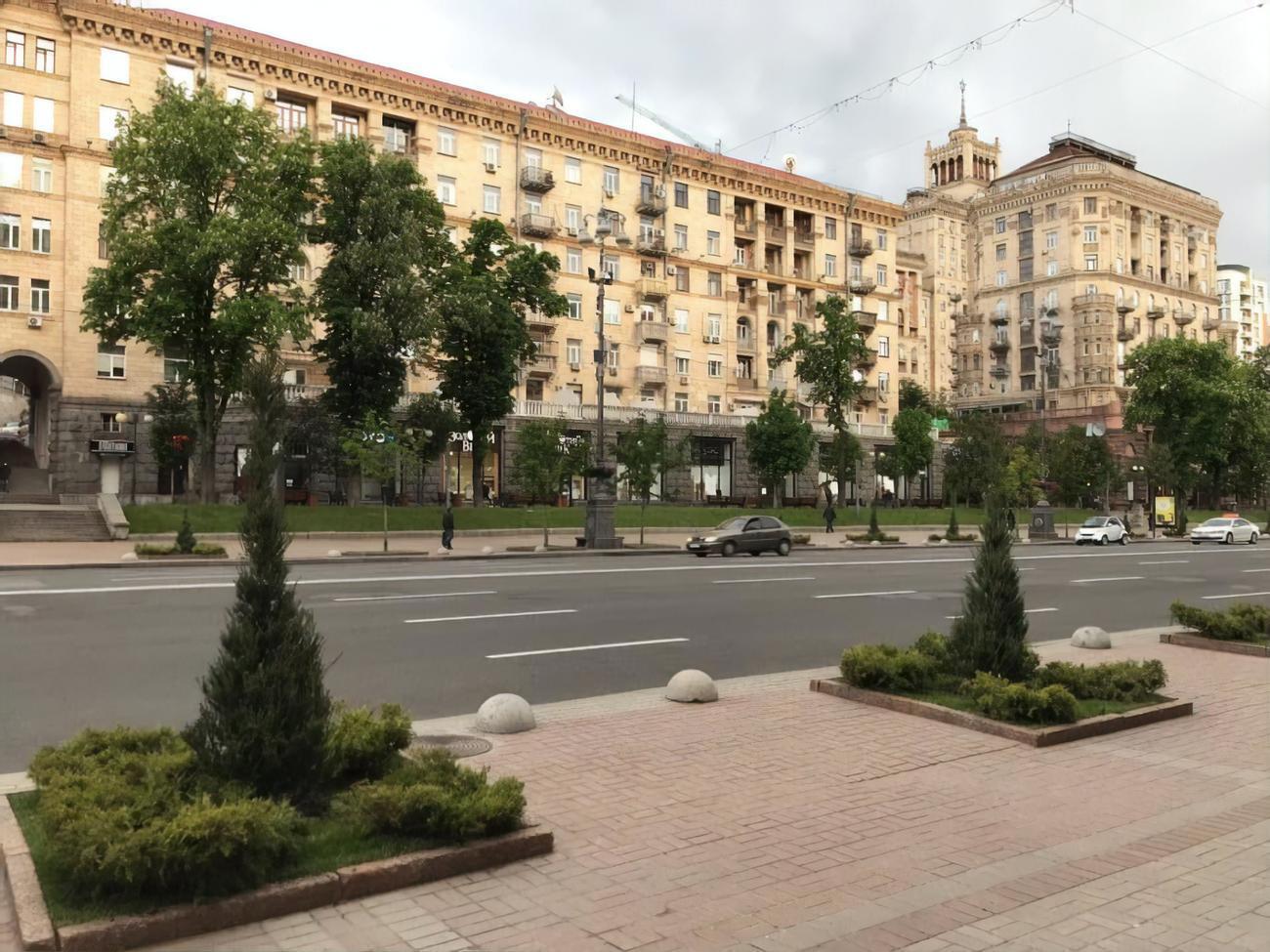 В "Киевзеленстрое" заявили, что можжевельник на Крещатике посадили временно