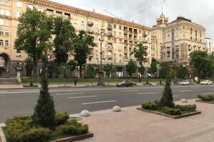 В "Киевзеленстрое" заявили, что можжевельник на Крещатике посадили временно