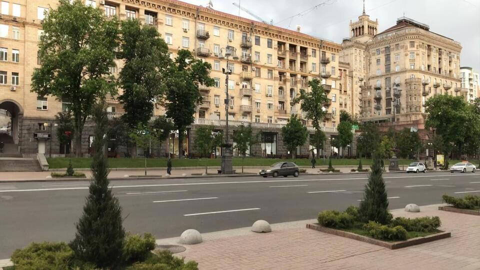 В "Киевзеленстрое" заявили, что можжевельник на Крещатике посадили временно