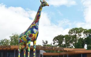 Киевский зоопарк открыли после реконструкции