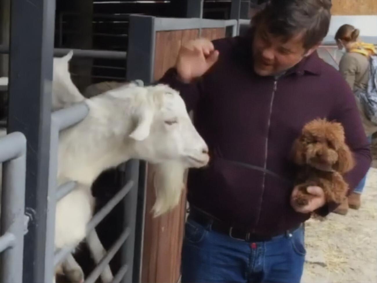 Під час відвідування зоопарку Богдан тримав на руках собаку